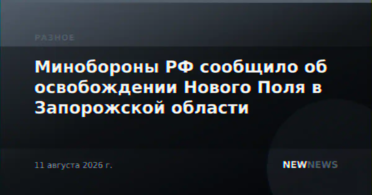 Минобороны РФ сообщило об освобождении Нового Поля в Запорожской области