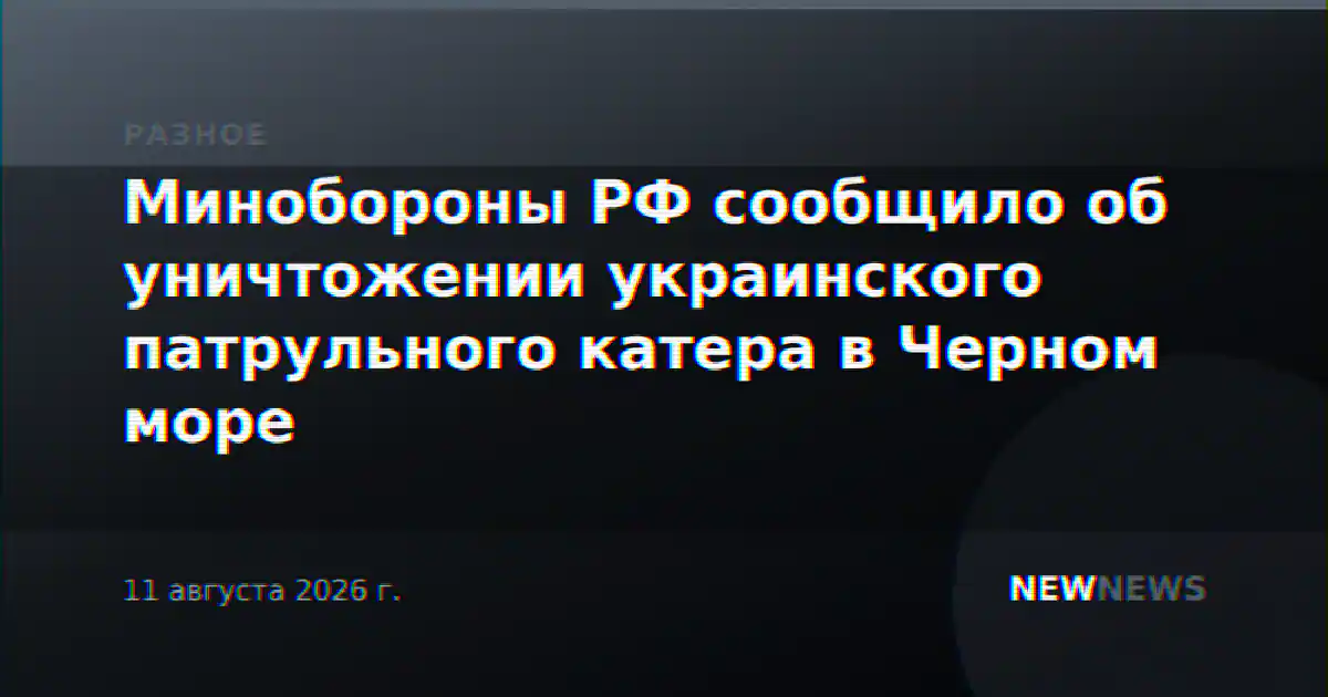 Минобороны РФ сообщило об уничтожении украинского патрульного катера в Черном море