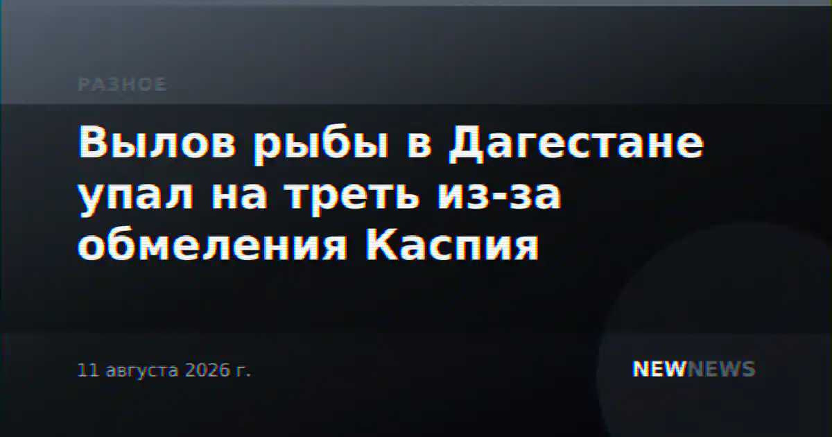 Вылов рыбы в Дагестане упал на треть из-за обмеления Каспия