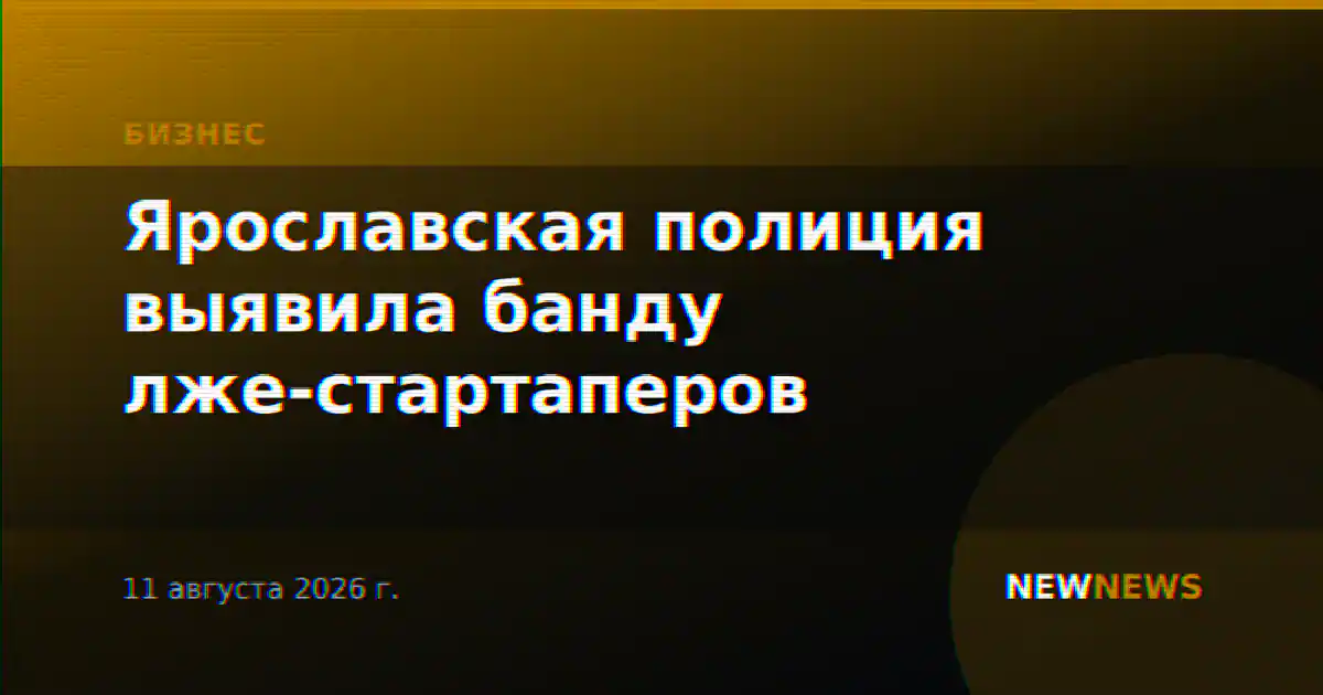 Ярославская полиция выявила банду лже-стартаперов