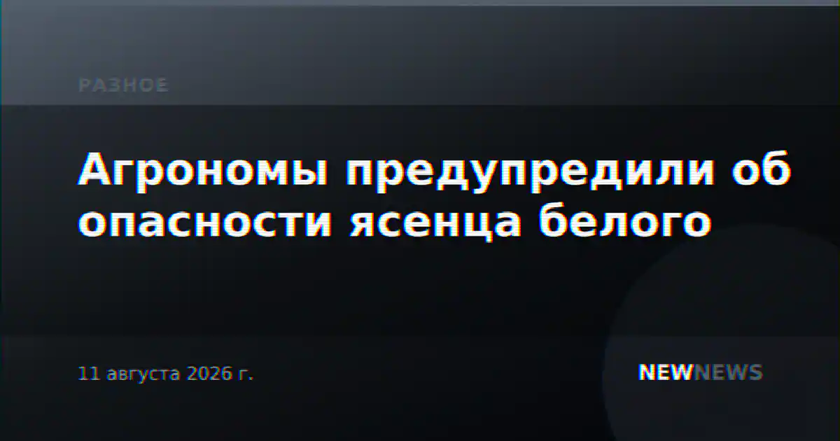 Агрономы предупредили об опасности ясенца белого