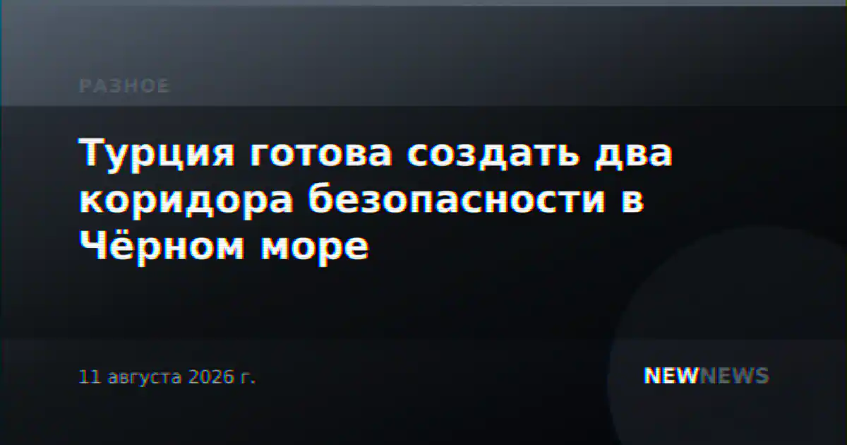 Турция готова создать два коридора безопасности в Чёрном море