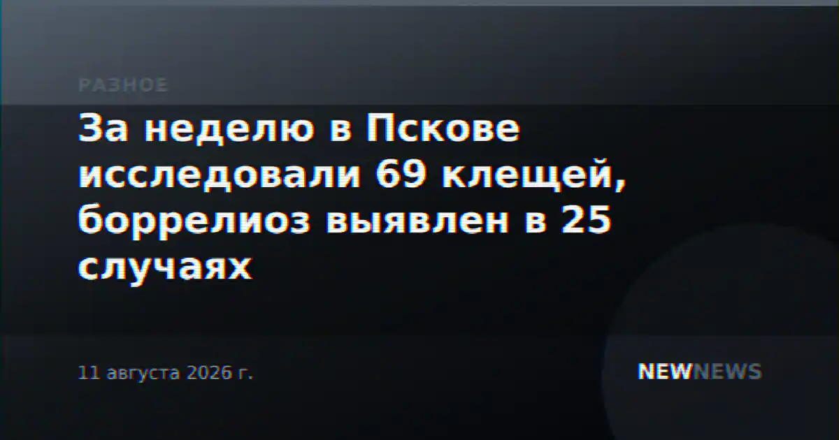 За неделю в Пскове исследовали 69 клещей, боррелиоз выявлен в 25 случаях