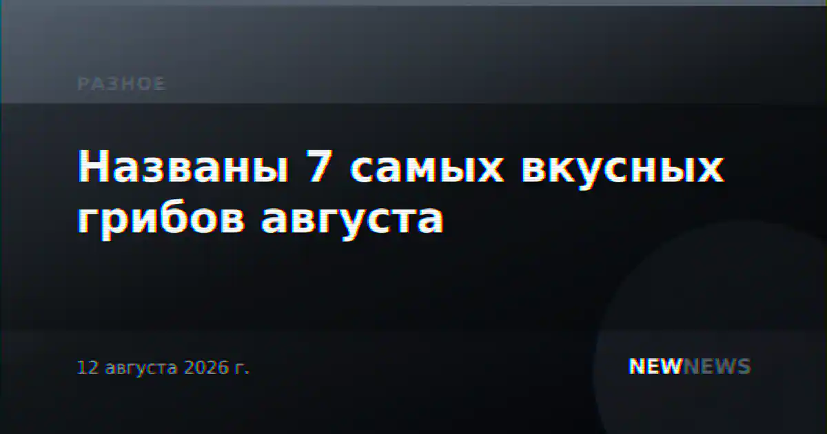 Названы 7 самых вкусных грибов августа