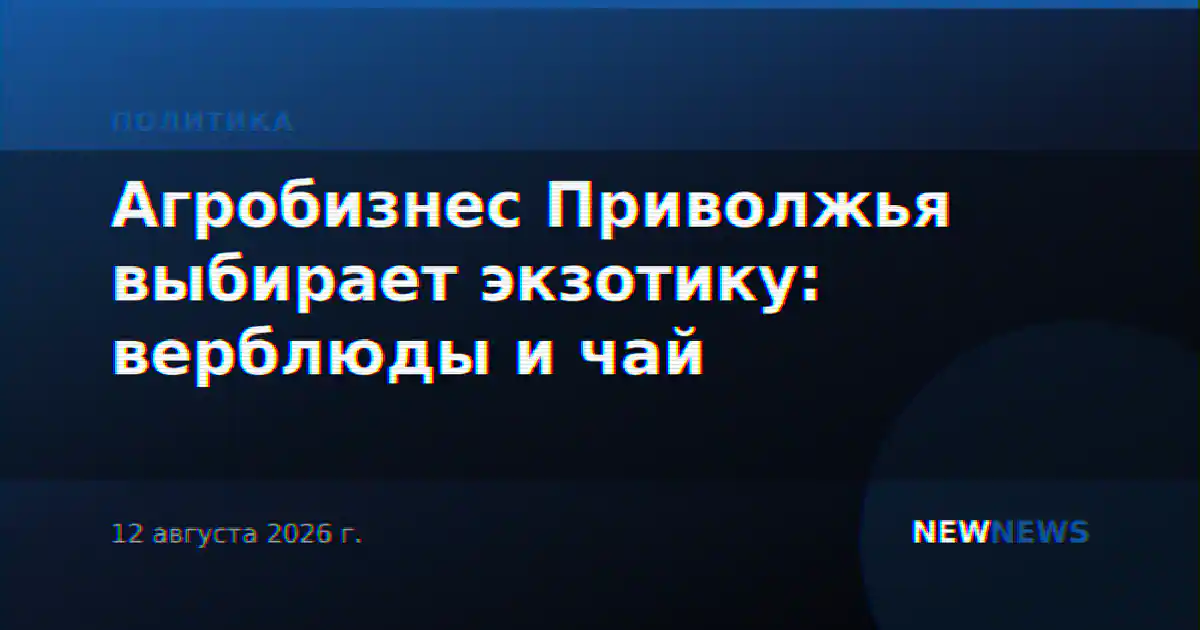 Агробизнес Приволжья выбирает экзотику: верблюды и чай