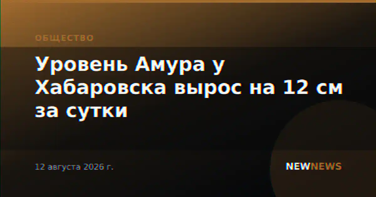 Уровень Амура у Хабаровска вырос на 12 см за сутки
