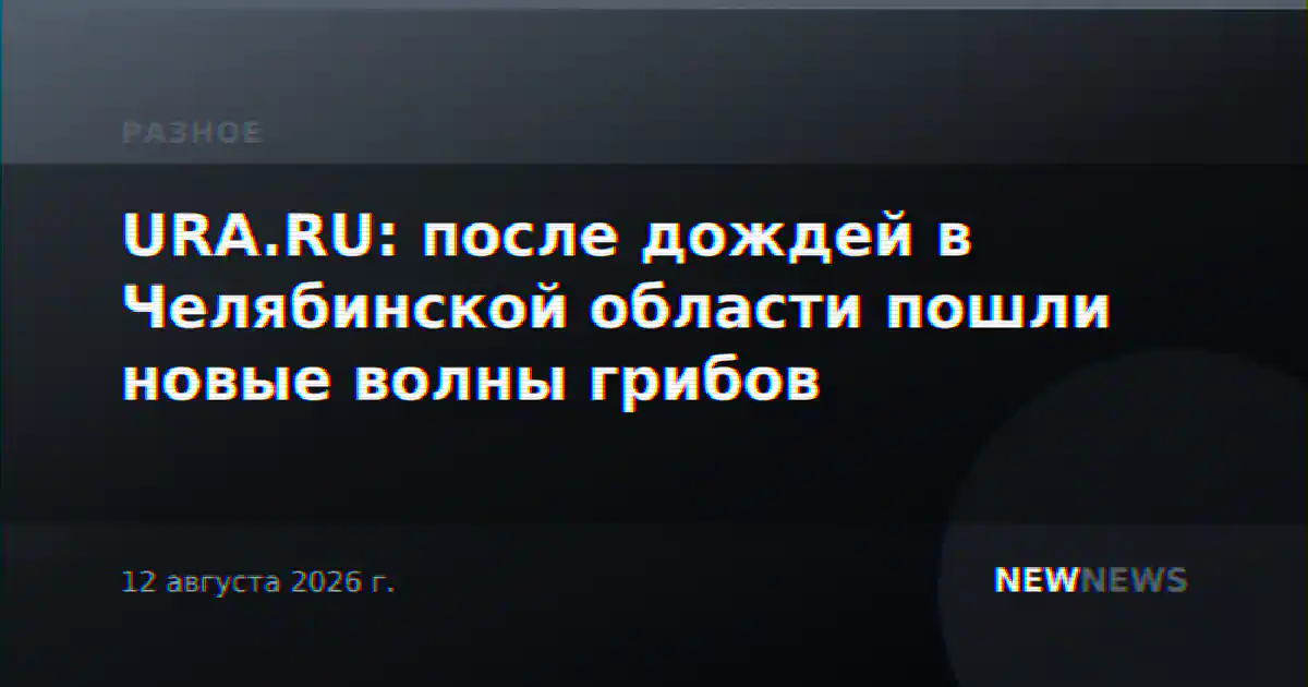 URA.RU: после дождей в Челябинской области пошли новые волны грибов
