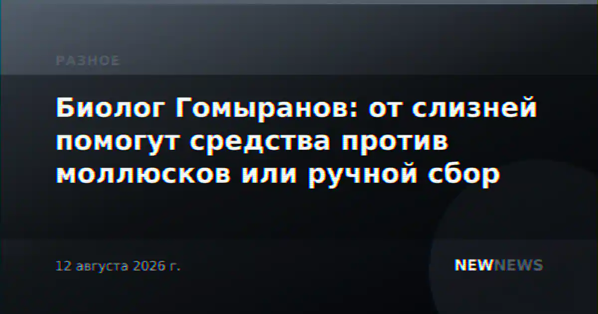 Биолог Гомыранов: от слизней помогут средства против моллюсков или ручной сбор