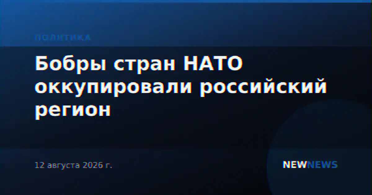 Бобры стран НАТО оккупировали российский регион