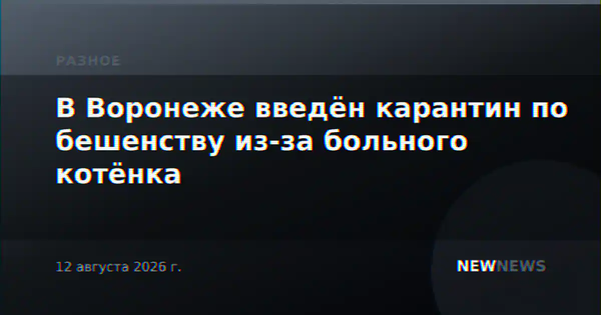 В Воронеже введён карантин по бешенству из-за больного котёнка