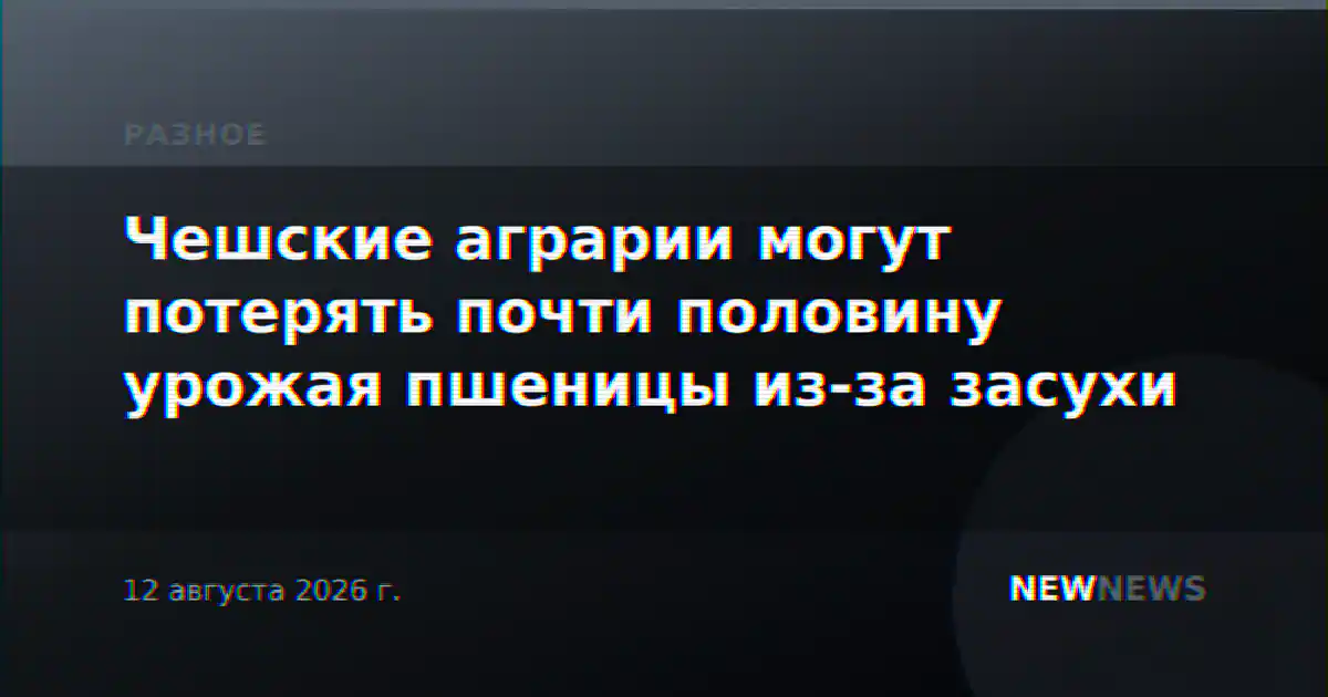 Чешские аграрии могут потерять почти половину урожая пшеницы из-за засухи