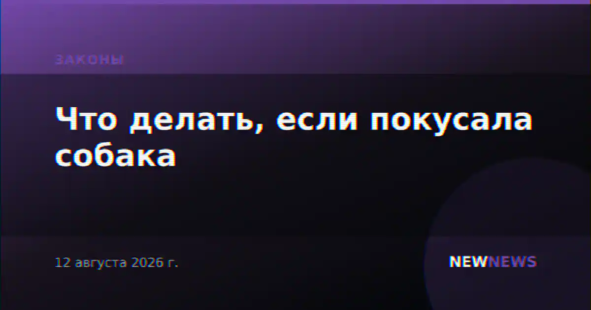 Что делать, если покусала собака
