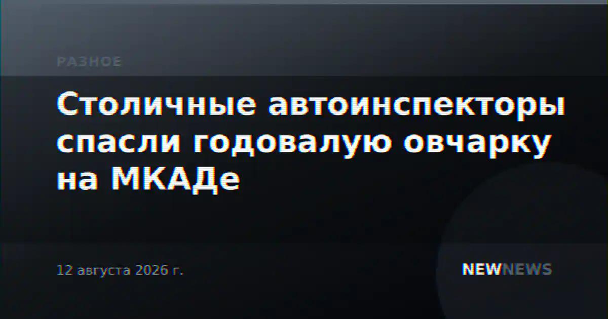 Столичные автоинспекторы спасли годовалую овчарку на МКАДе