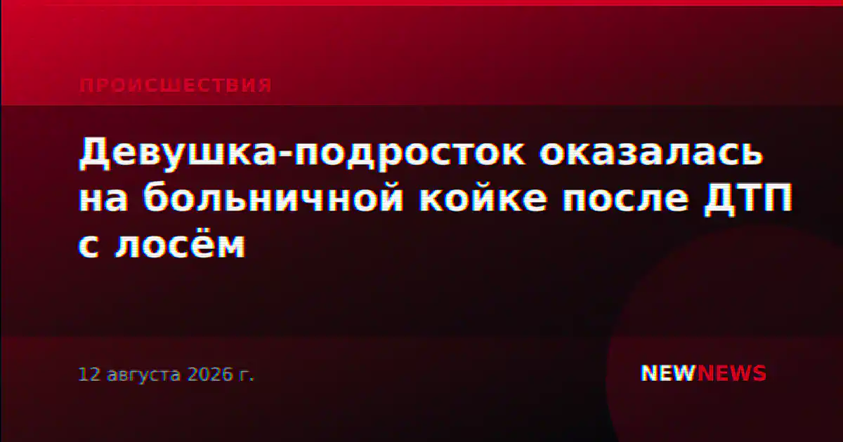 Девушка-подросток оказалась на больничной койке после ДТП с лосём
