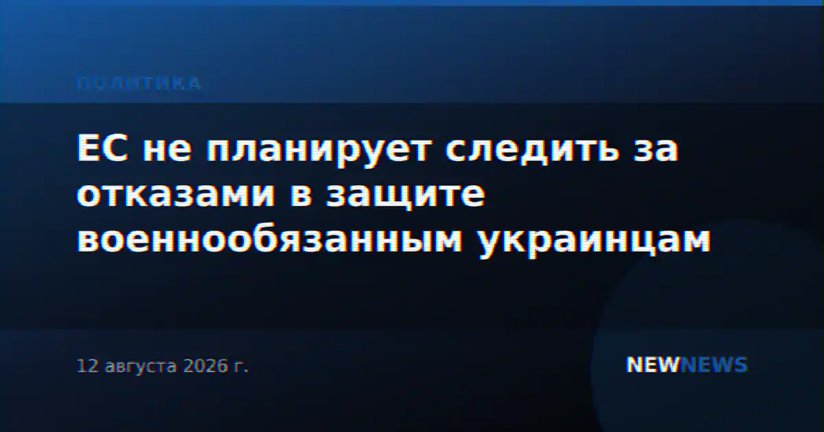 ЕС не планирует следить за отказами в защите военнообязанным украинцам