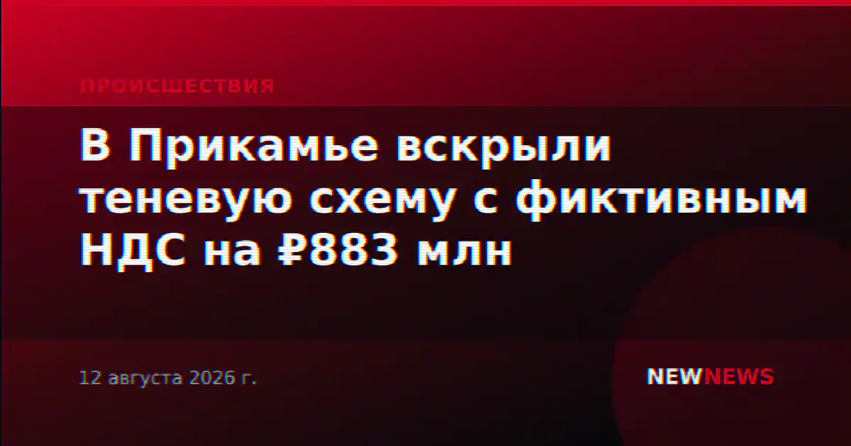 В Прикамье вскрыли теневую схему с фиктивным НДС на ₽883 млн