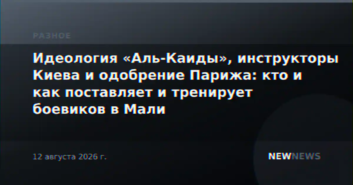 Идеология «Аль-Каиды», инструкторы Киева и одобрение Парижа: кто и как поставляет и тренирует боевиков в Мали