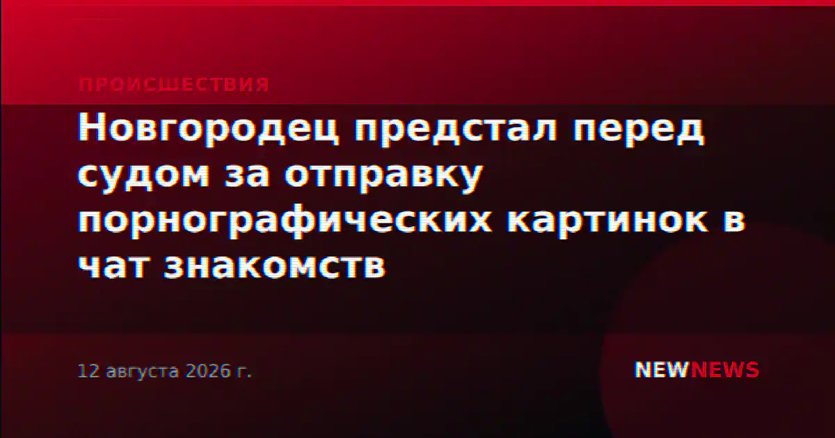 Новгородец предстал перед судом за отправку порнографических картинок в чат знакомств