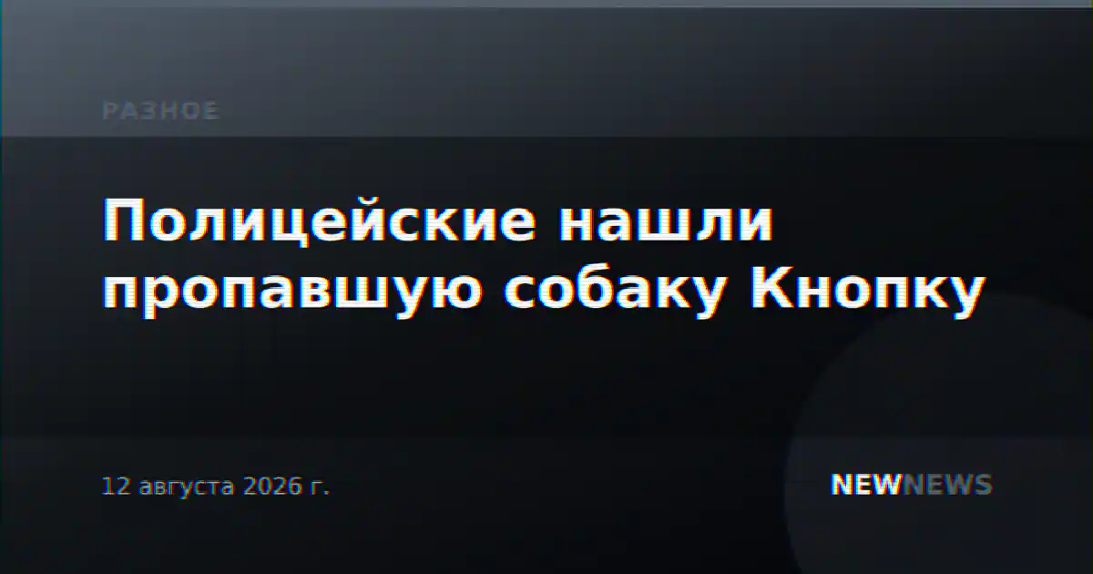 Полицейские нашли пропавшую собаку Кнопку