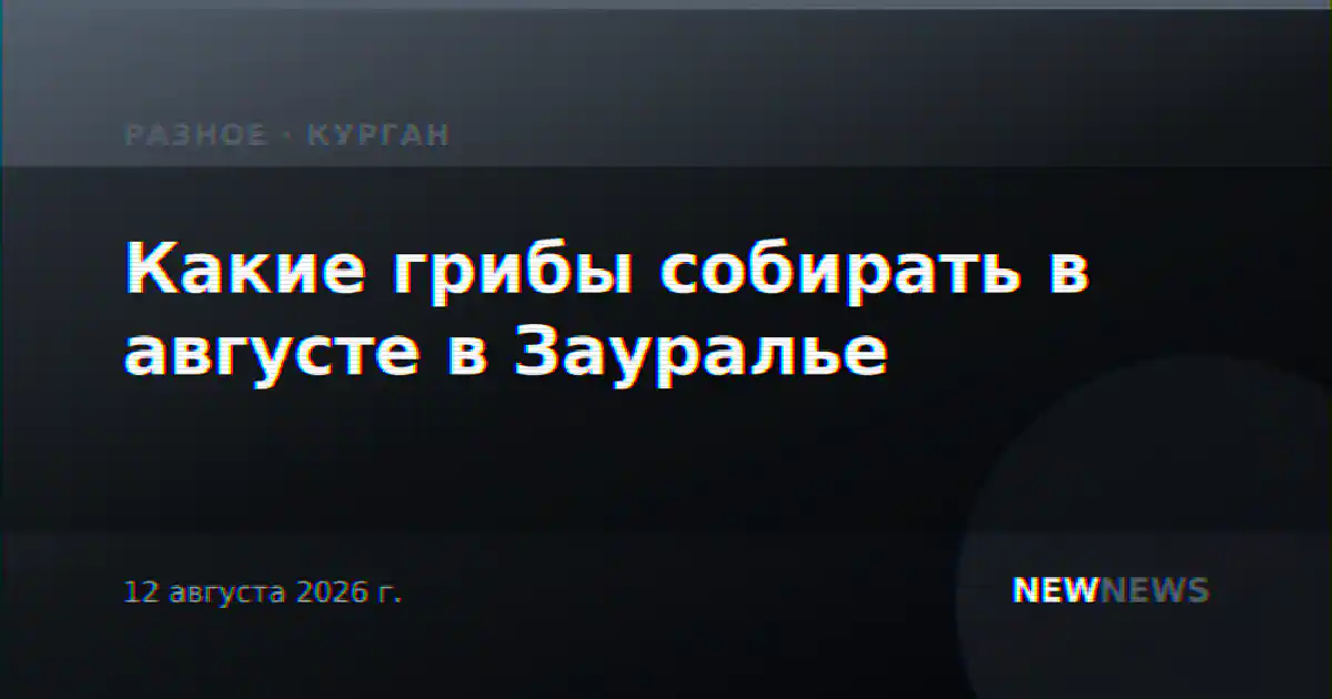 Какие грибы собирать в августе в Зауралье