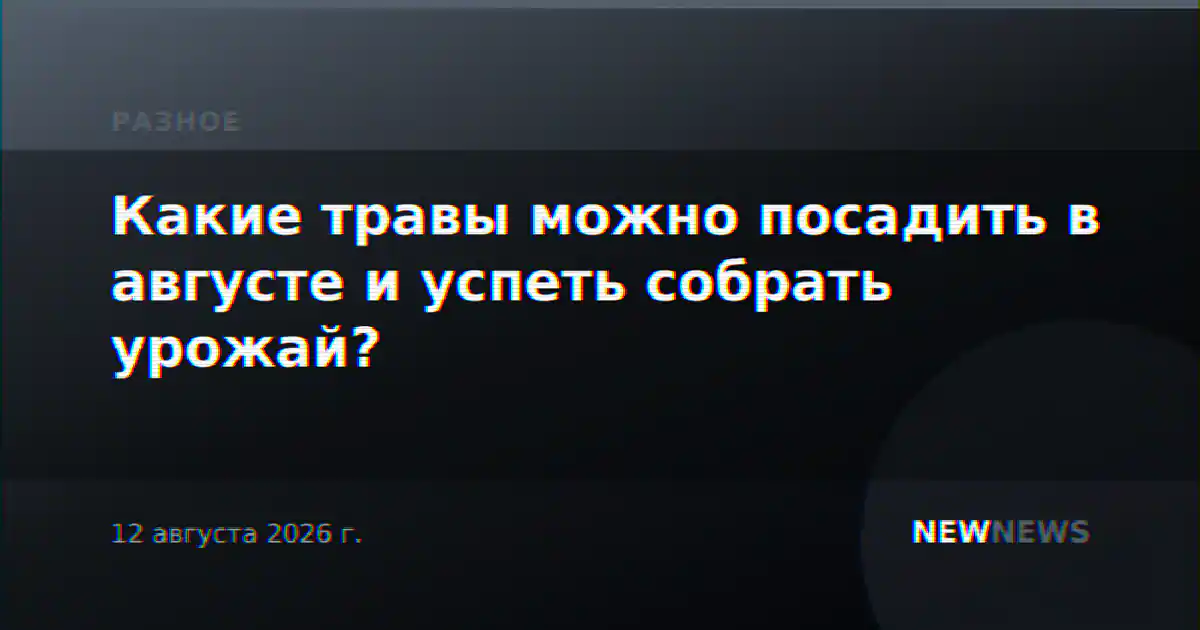 Какие травы можно посадить в августе и успеть собрать урожай?