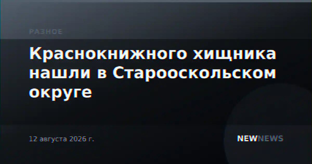 Краснокнижного хищника нашли в Старооскольском округе