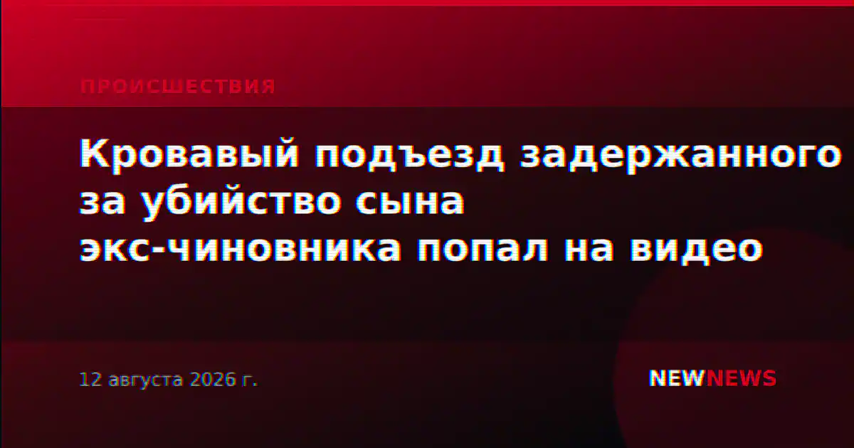 Кровавый подъезд задержанного за убийство сына экс-чиновника попал на видео