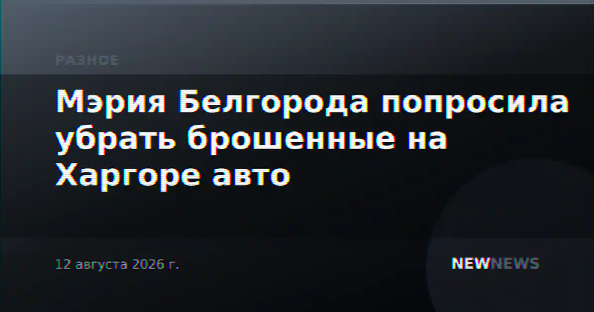 Мэрия Белгорода попросила убрать брошенные на Харгоре авто