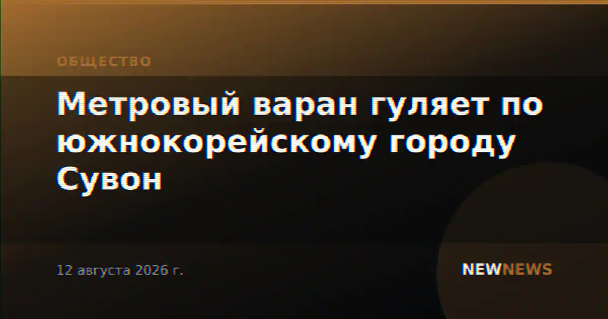 Метровый варан гуляет по южнокорейскому городу Сувон