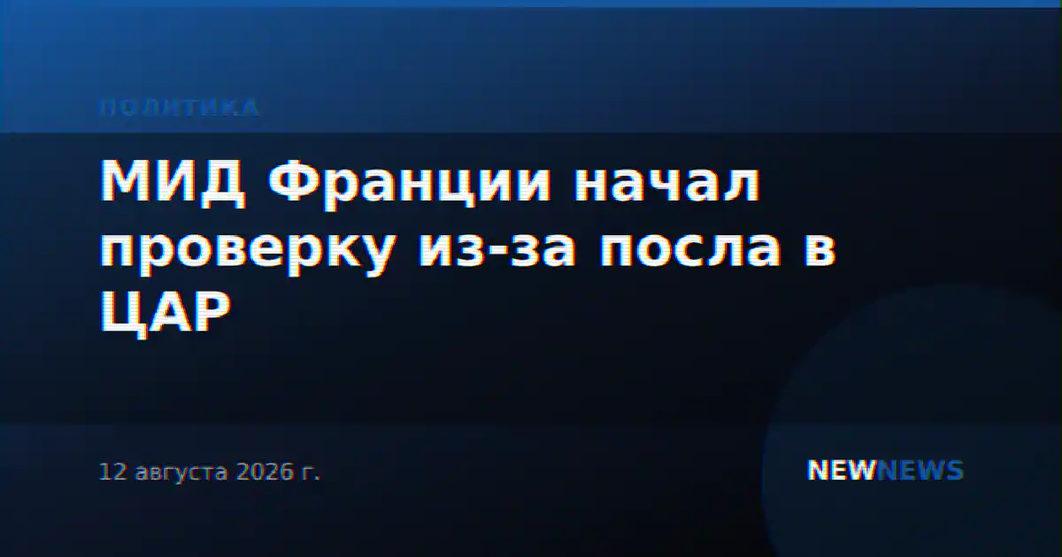 МИД Франции начал проверку из-за посла в ЦАР