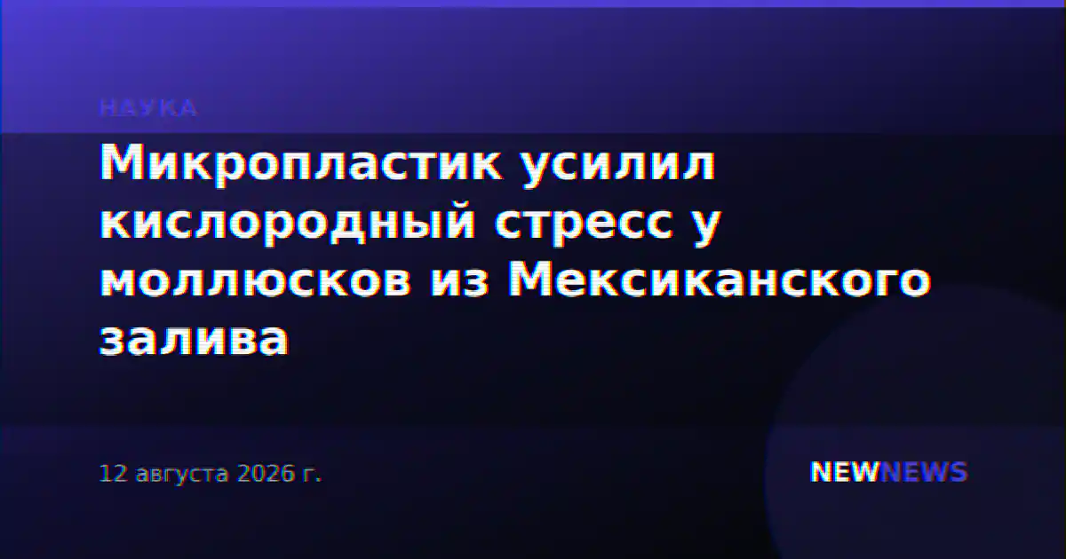 Микропластик усилил кислородный стресс у моллюсков из Мексиканского залива