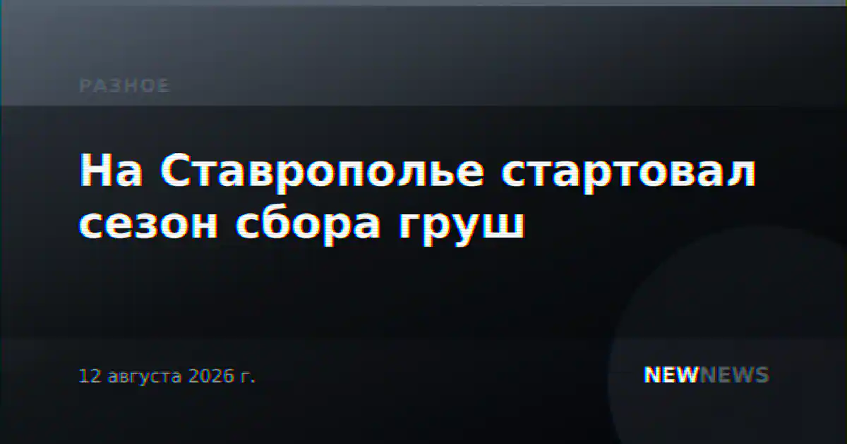 На Ставрополье стартовал сезон сбора груш