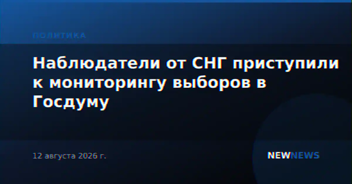 Наблюдатели от СНГ приступили к мониторингу выборов в Госдуму
