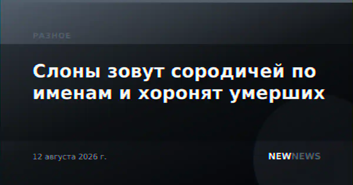 Слоны зовут сородичей по именам и хоронят умерших