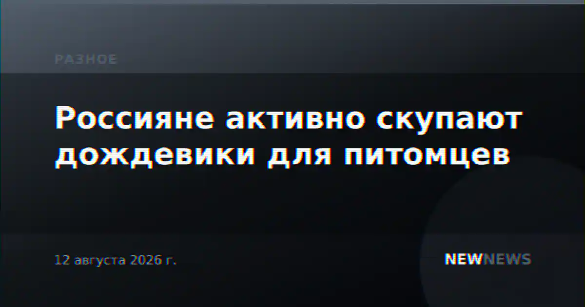 Россияне активно скупают дождевики для питомцев