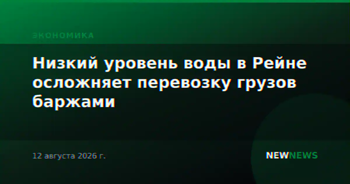 Низкий уровень воды в Рейне осложняет перевозку грузов баржами