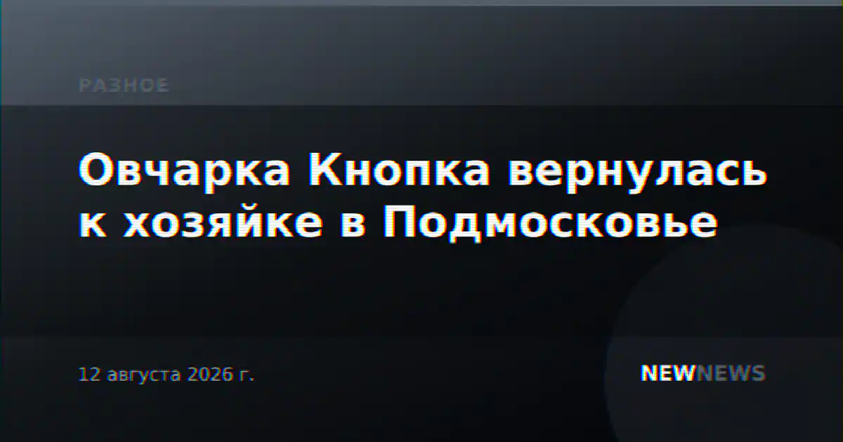 Овчарка Кнопка вернулась к хозяйке в Подмосковье