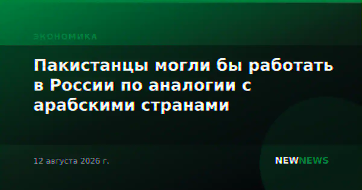 Пакистанцы могли бы работать в России по аналогии с арабскими странами