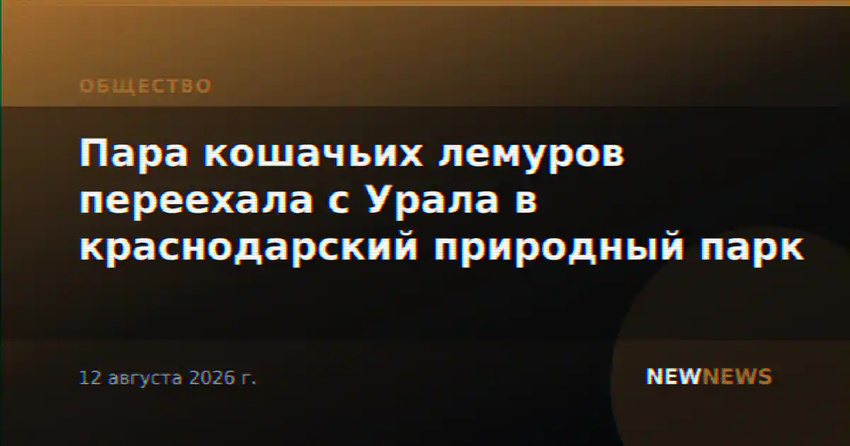 Пара кошачьих лемуров переехала с Урала в краснодарский природный парк