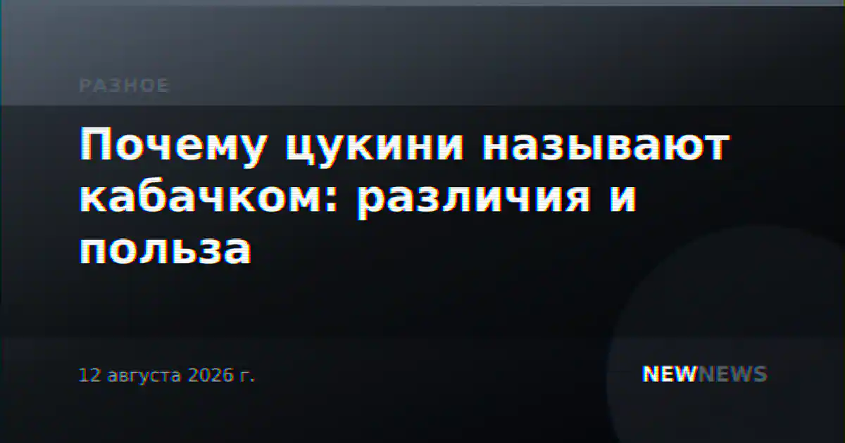 Почему цукини называют кабачком: различия и польза
