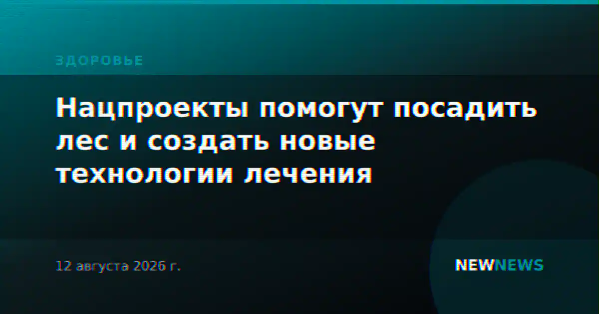 Нацпроекты помогут посадить лес и создать новые технологии лечения