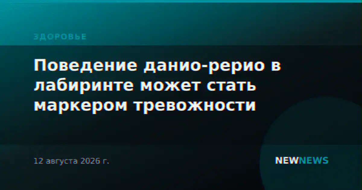 Поведение данио-рерио в лабиринте может стать маркером тревожности