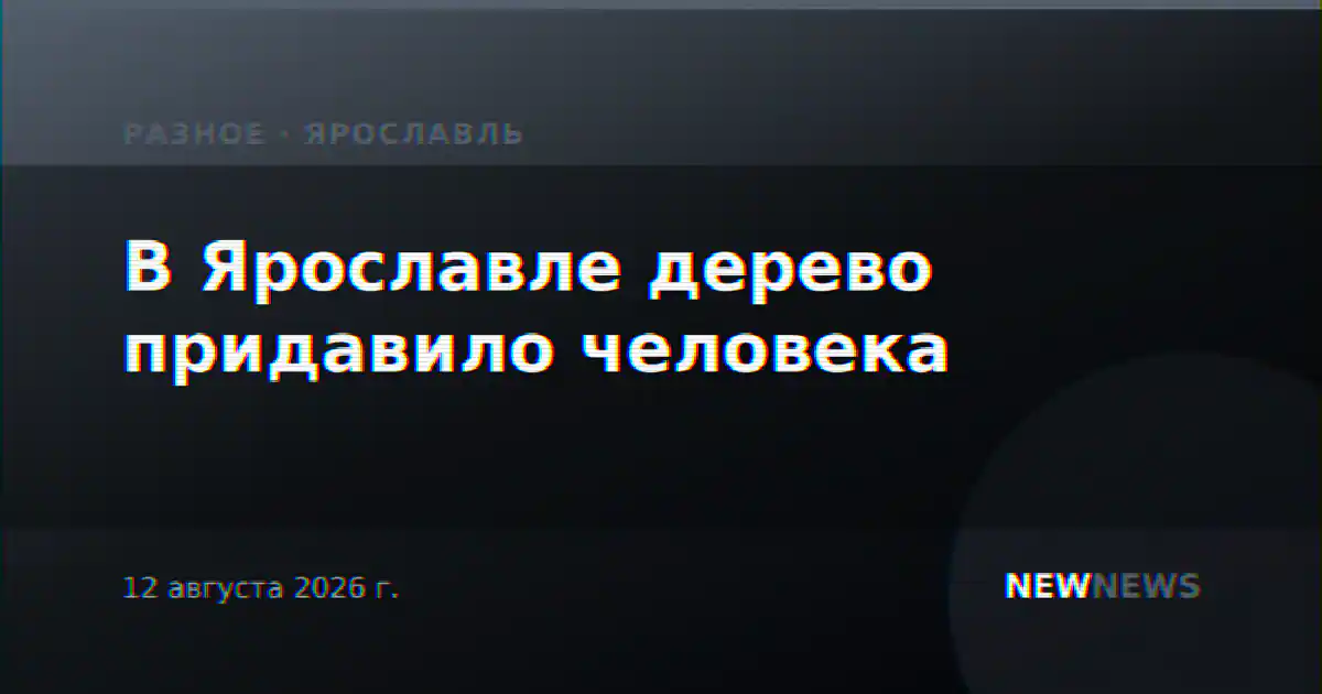 В Ярославле дерево придавило человека