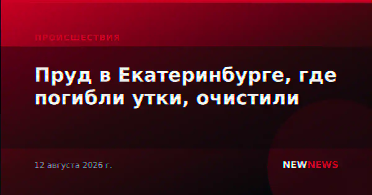 Пруд в Екатеринбурге, где погибли утки, очистили