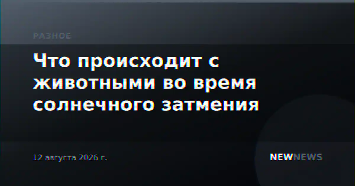 Что происходит с животными во время солнечного затмения