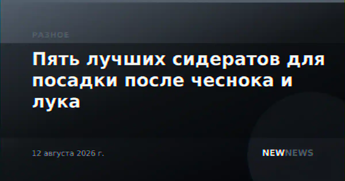 Пять лучших сидератов для посадки после чеснока и лука