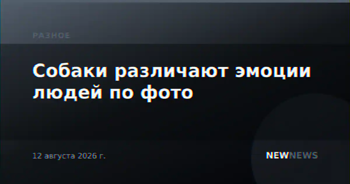 Собаки различают эмоции людей по фото