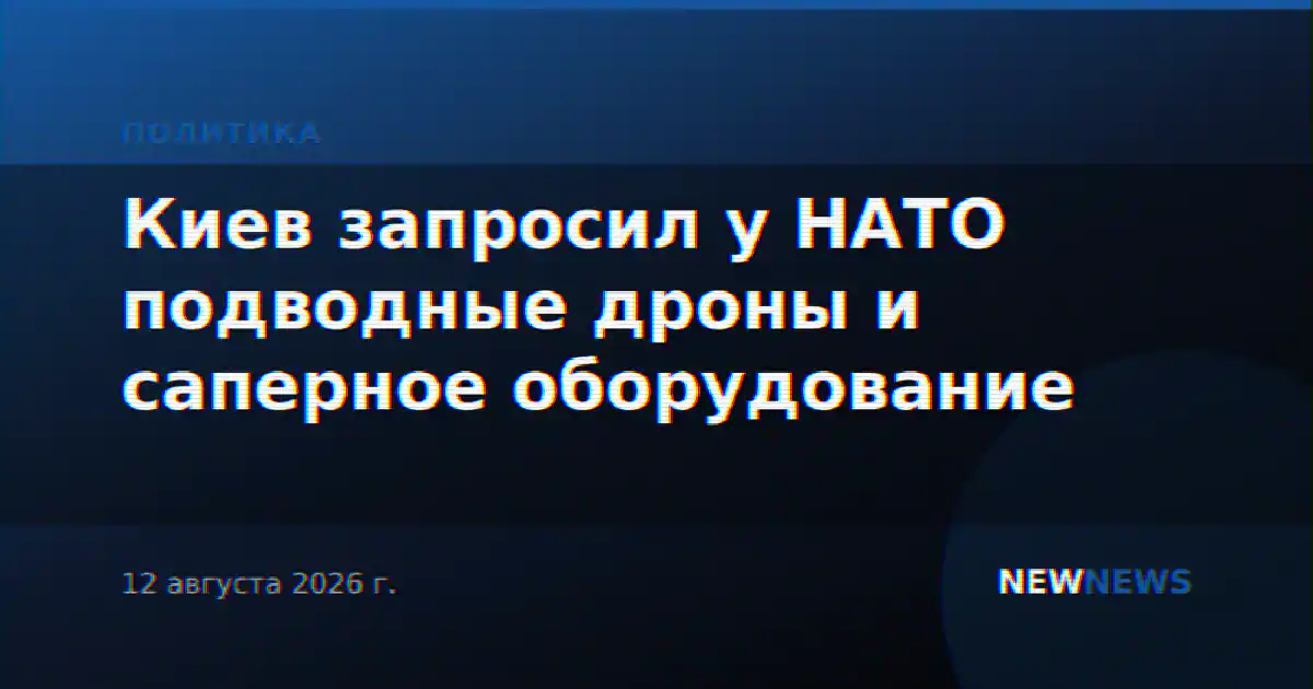 Киев запросил у НАТО подводные дроны и саперное оборудование