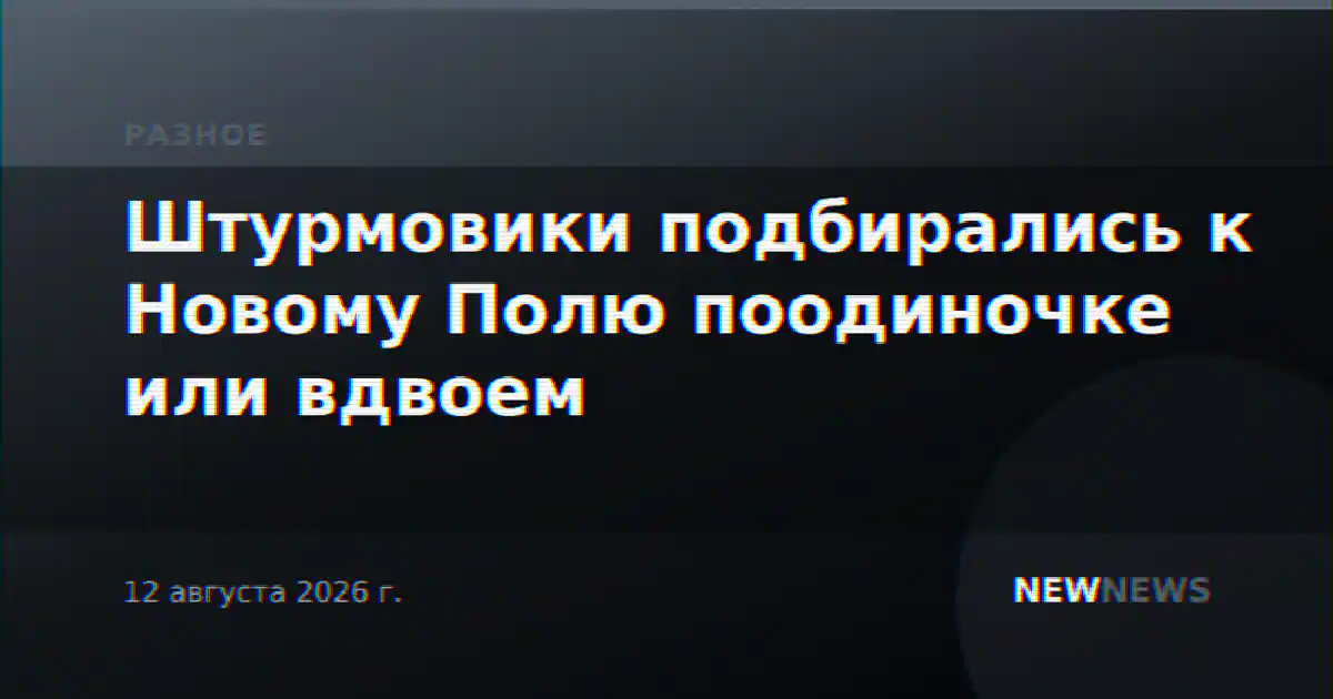 Штурмовики подбирались к Новому Полю поодиночке или вдвоем