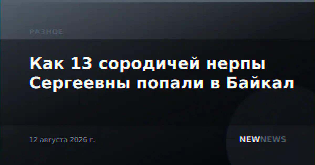 Как 13 сородичей нерпы Сергеевны попали в Байкал